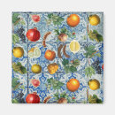 Search for summer fruit magnets Lemon