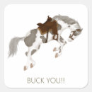 Search for bucking horse stickers Cowgirl