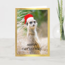 Search for meerkat christmas cards Merry