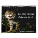 Search for cat calendars Feline