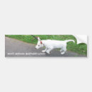 Search for white german shepherd bumper stickers Alsatian