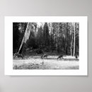 Search for black deer posters Black and white