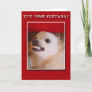 Search for grinning cards Dog