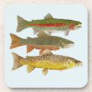 Search for trout coasters Rainbow