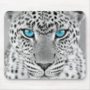 Search for black jaguar mouse mats Wild