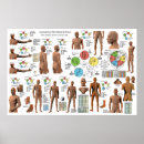 Search for alternative medicine posters Acupuncture