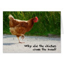 Search for chicken cross the road Hen