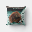 Search for orangutan cushions Ape