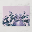 Search for catnip postcards Humour