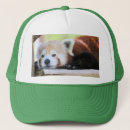 Search for red panda hats Zoo