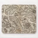 Search for volcanic mouse mats Map