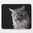 Search for coons mouse mats Animals