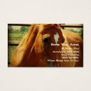Search for sorrel Animal