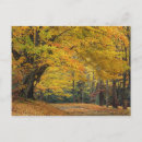 Search for country postcards Tree