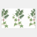Search for ivy leaf stickers Holly