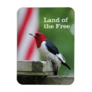 Search for watcher magnets Ornithology