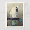 Search for crested postcards Parrot