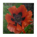 Search for oriental tiles Nature