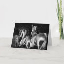 Search for horses galloping cards Equestrian