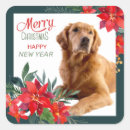 Search for golden new year stickers Animal