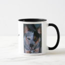 Search for blue heeler mugs Acd