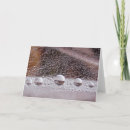 Search for meditation note cards Yin yang
