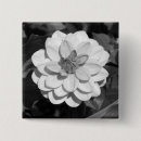 Search for dahlia badges Flower