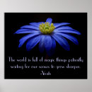 Search for daisy blue posters Flower