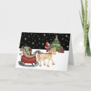 Search for delivering cards Sleigh