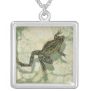 Search for frog accessories Toad