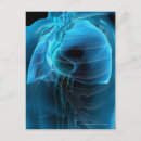 Search for lungs postcards People