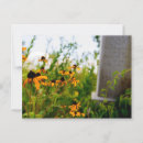 Search for nature preserve postcards Park