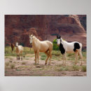 Search for free running posters Stallion