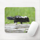 Search for skunk mouse mats Smelly