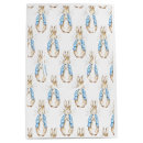 Search for rabbit gift bags Blue