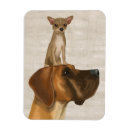 Search for dane magnets Animals