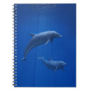 Search for dolphin notebooks blue
