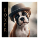 Search for boxers posters Dog