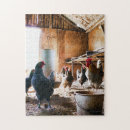 Search for rooster puzzles Nature