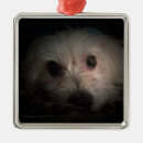 Search for rescue dog christmas tree decorations Cute