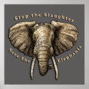 Search for save the elephant posters Wildlife