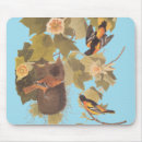 Search for nests mouse mats Bird nest