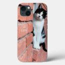 Search for rescue pet iphone cases Cat