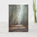 Search for forests cards Tree