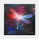 Search for dragonfly magnets Black