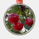 Search for red cherry christmas tree decorations Fruit