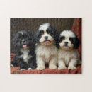 Search for pekingese puzzles Cute
