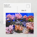 Search for saltwater postcards Sand