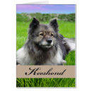 Search for spitz cards Pet