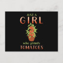 Search for tomatoes postcards Plants